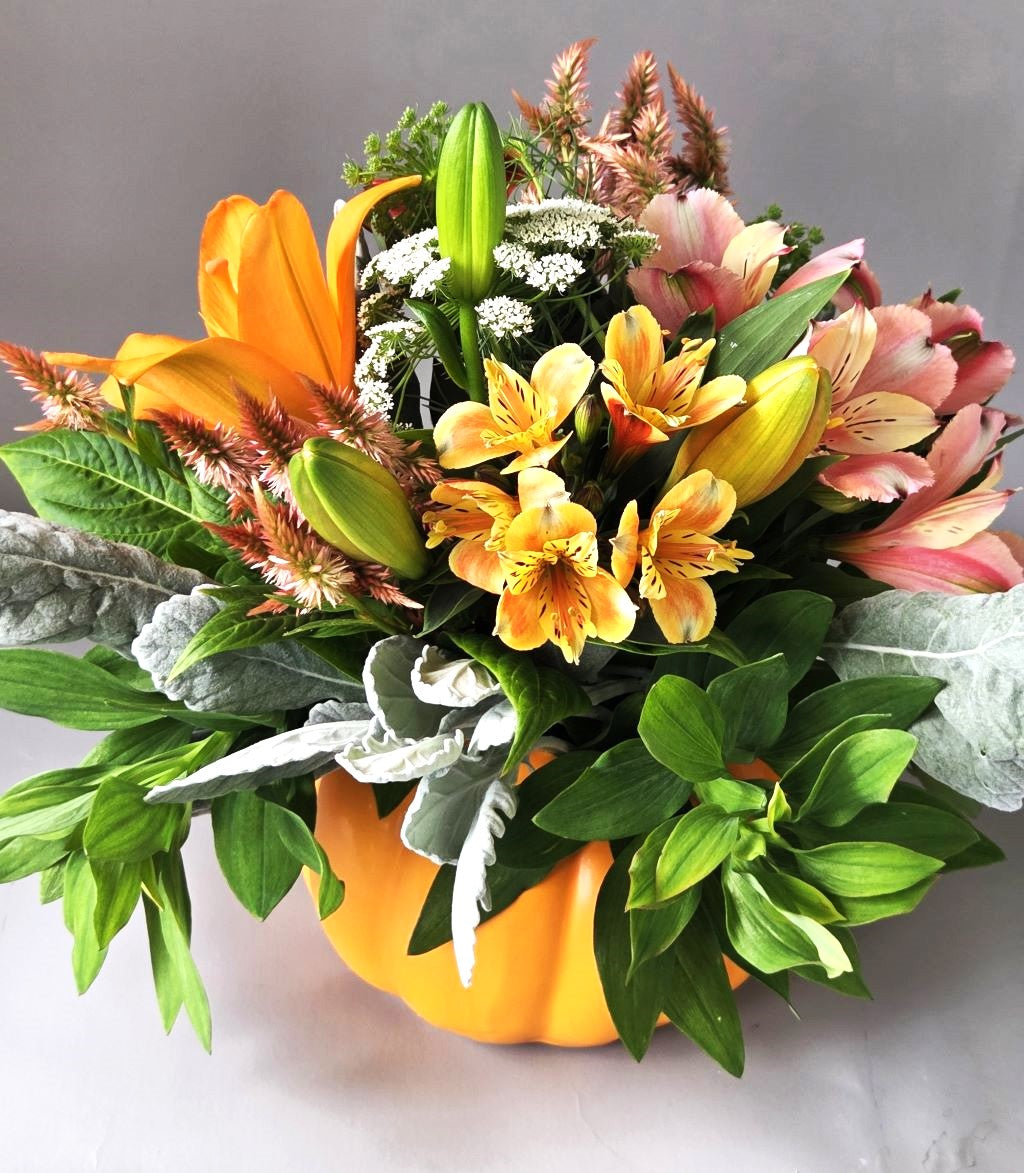 FBB Local Bumpkin Pumpkin (orange) – FLOWERS BY BAUERS & GREENHOUSE, Jarrettsville MD
