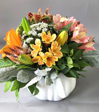 FBB Local Bumpkin Pumpkin (white) – FLOWERS BY BAUERS & GREENHOUSE, Jarrettsville MD