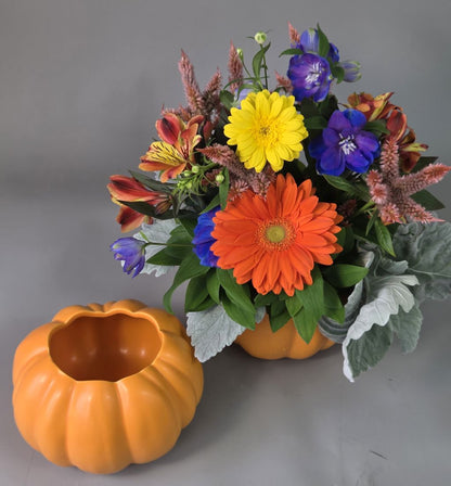 Home Grown Pumpkin – FLOWERS BY BAUERS & GREENHOUSE, Jarrettsville MD