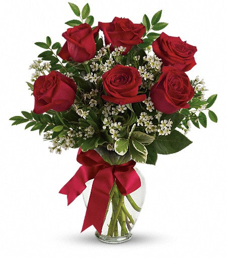 Six Red Roses Vased