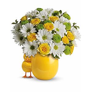 Flowers By Bauers My Little Chickadee – FLOWERS BY BAUERS & GREENHOUSE, Jarrettsville MD