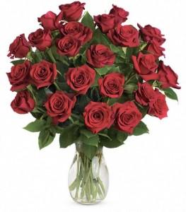 Two Dozen Red Roses Vased – FLOWERS BY BAUERS & GREENHOUSE, Jarrettsville MD