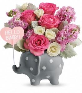 Hello Sweet Baby Girl – FLOWERS BY BAUERS & GREENHOUSE, Jarrettsville MD
