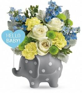 Hello Sweet Baby Boy – FLOWERS BY BAUERS & GREENHOUSE, Jarrettsville MD