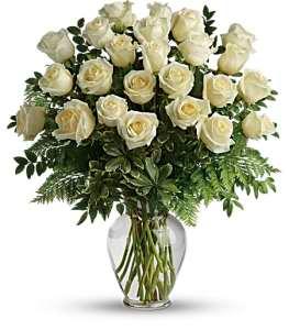 Two Dozen White Roses Vased – FLOWERS BY BAUERS & GREENHOUSE, Jarrettsville MD
