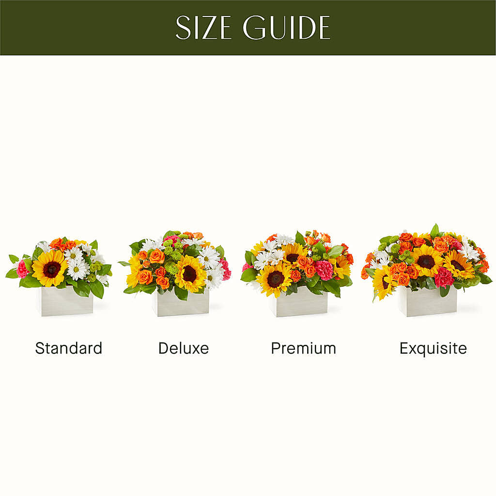 Sun-drenched Blooms Box Bouquet – FLOWERS BY BAUERS & GREENHOUSE, Jarrettsville MD