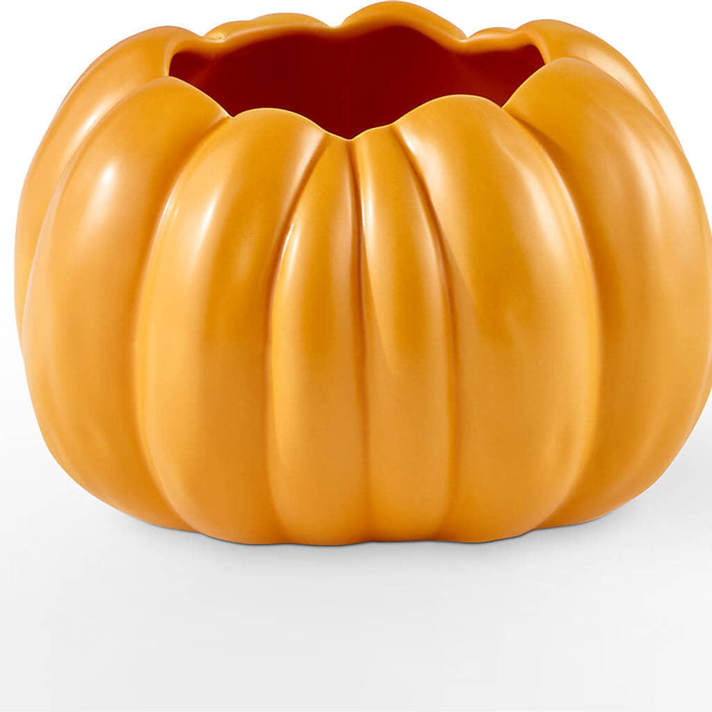 Pick of the Patch Pumpkin Bouquet – FLOWERS BY BAUERS & GREENHOUSE, Jarrettsville MD