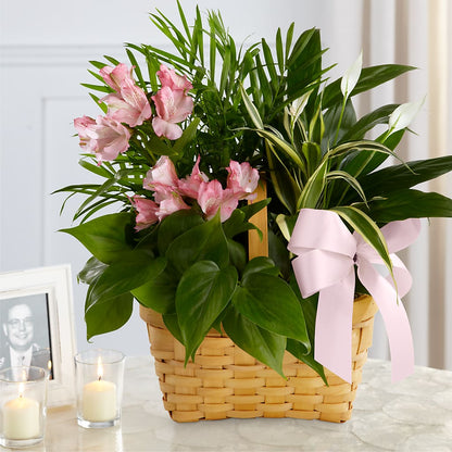Living Spirit Dishgarden – FLOWERS BY BAUERS & GREENHOUSE, Jarrettsville MD