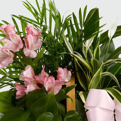 Living Spirit Dishgarden – FLOWERS BY BAUERS & GREENHOUSE, Jarrettsville MD
