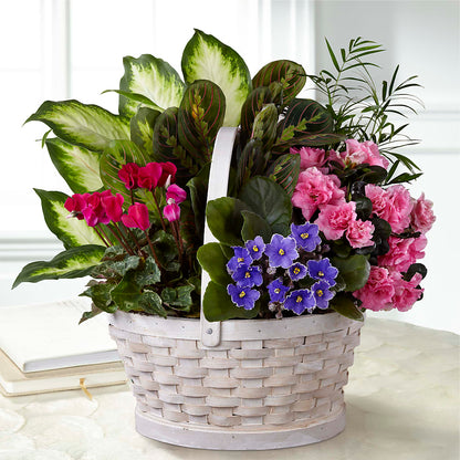 Peaceful Garden Planter – FLOWERS BY BAUERS & GREENHOUSE, Jarrettsville MD