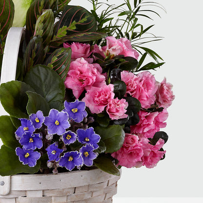 Peaceful Garden Planter – FLOWERS BY BAUERS & GREENHOUSE, Jarrettsville MD