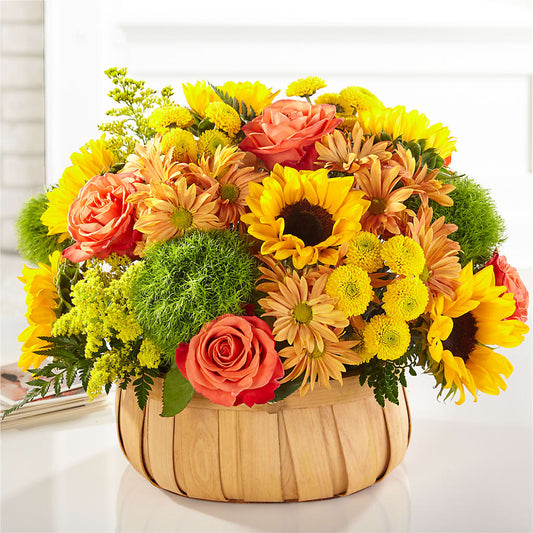 Harvest Sunflower Basket – FLOWERS BY BAUERS & GREENHOUSE, Jarrettsville MD