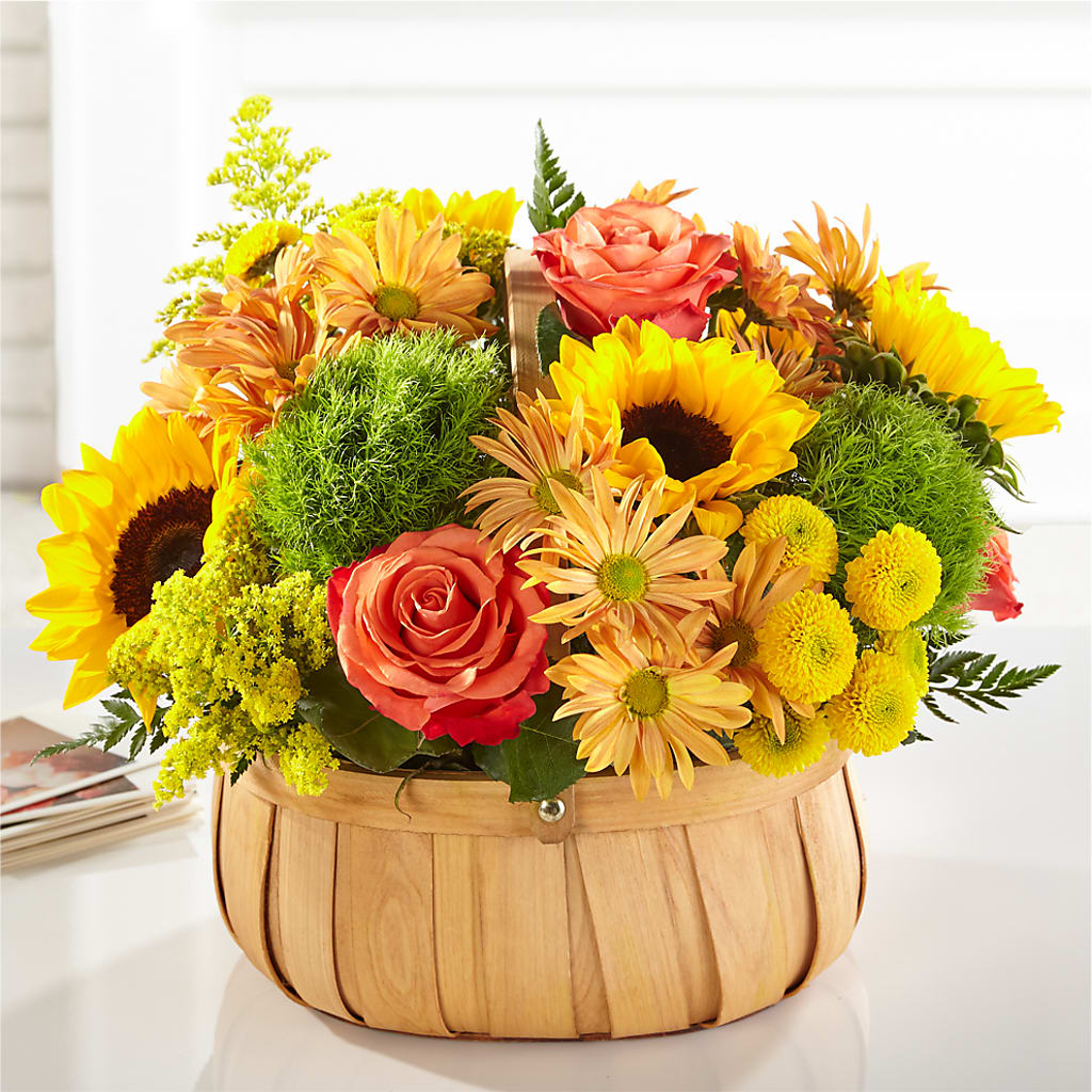 Harvest Sunflower Basket – FLOWERS BY BAUERS & GREENHOUSE, Jarrettsville MD