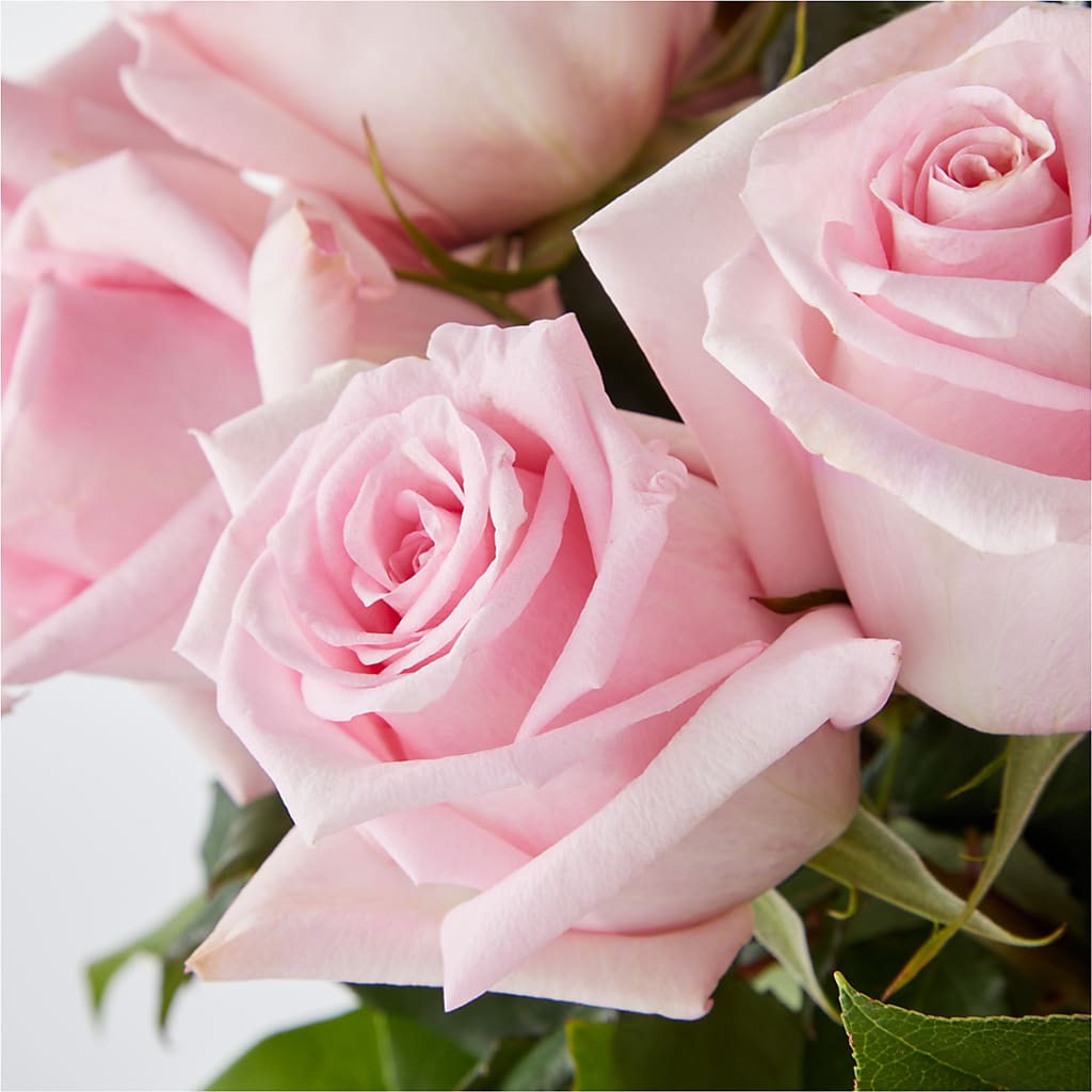 Picture Perfect Pink Rose Bouquet – FLOWERS BY BAUERS & GREENHOUSE, Jarrettsville MD