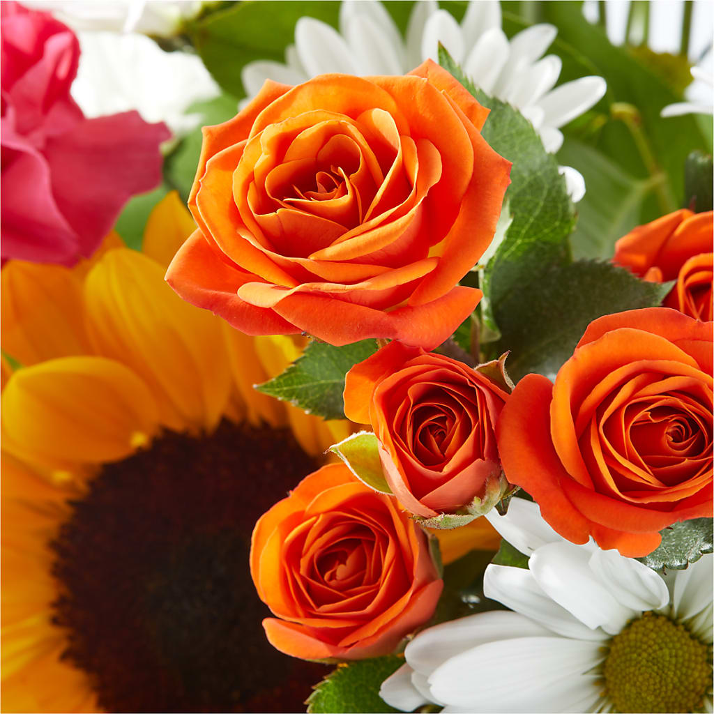 Sun-drenched Blooms Bouquet – FLOWERS BY BAUERS & GREENHOUSE, Jarrettsville MD