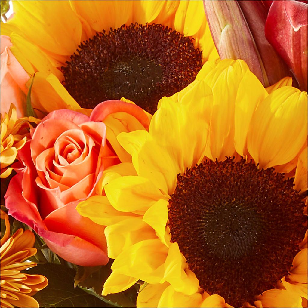 Acorn Lane Bouquet – FLOWERS BY BAUERS & GREENHOUSE, Jarrettsville MD