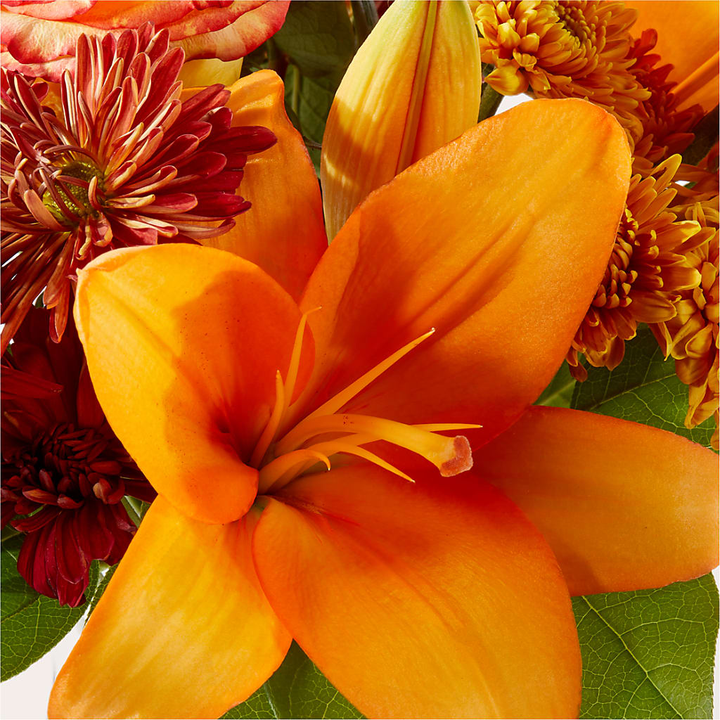 Autumnal Aroma Bouquet – FLOWERS BY BAUERS & GREENHOUSE, Jarrettsville MD