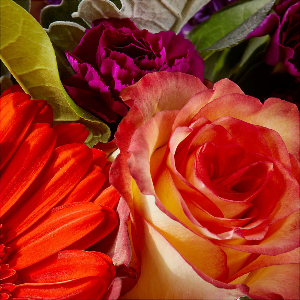 Sangria Bouquet – FLOWERS BY BAUERS & GREENHOUSE, Jarrettsville MD