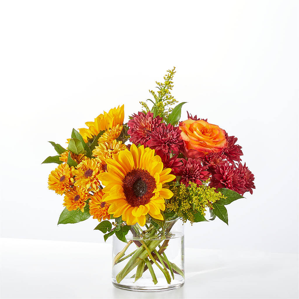 Flannel Scarf Bouquet – FLOWERS BY BAUERS & GREENHOUSE, Jarrettsville MD