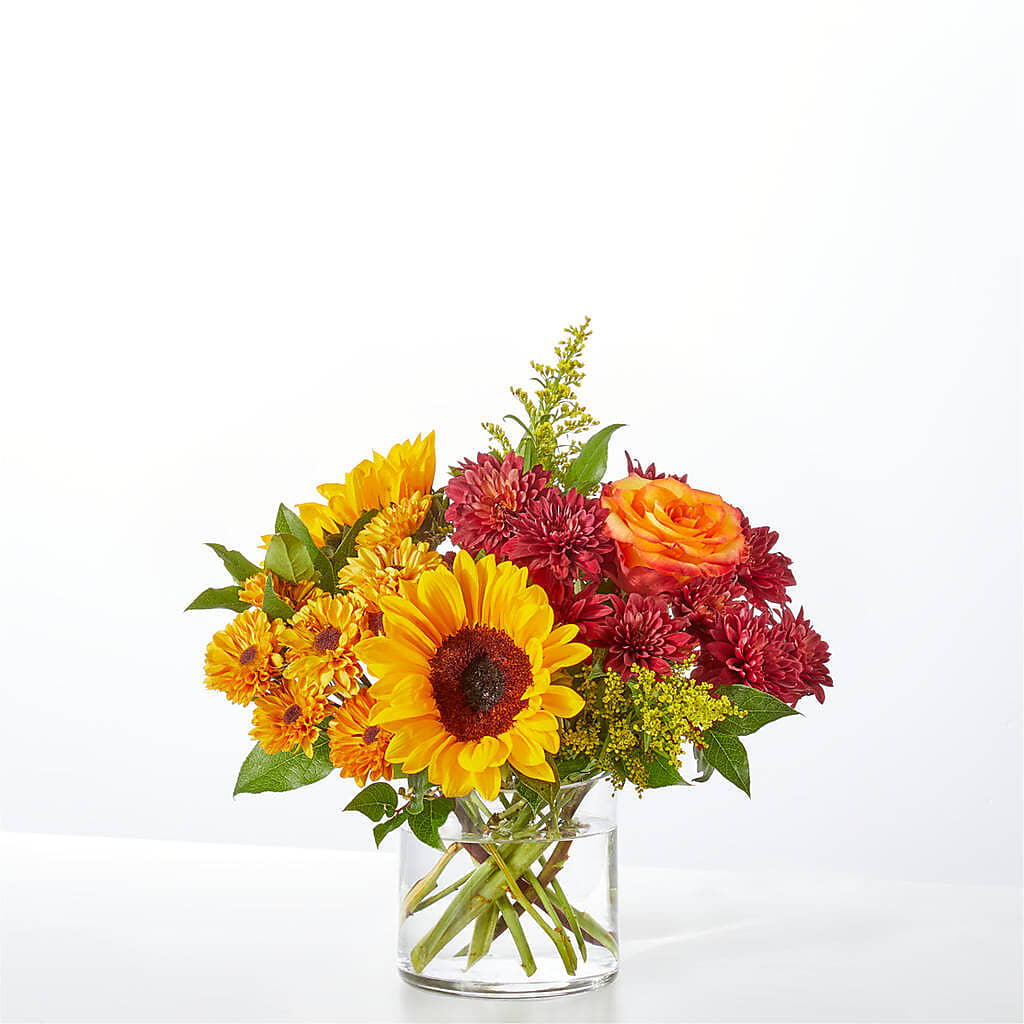 Flannel Scarf Bouquet – FLOWERS BY BAUERS & GREENHOUSE, Jarrettsville MD