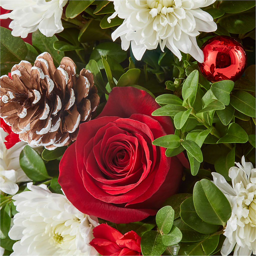 Let It Snow Tree – FLOWERS BY BAUERS & GREENHOUSE, Jarrettsville MD