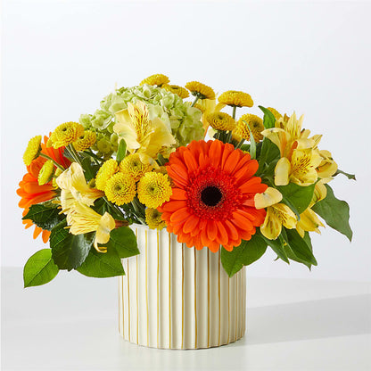 Autumn Sunshine Bouquet with Ivory Vase – FLOWERS BY BAUERS & GREENHOUSE, Jarrettsville MD