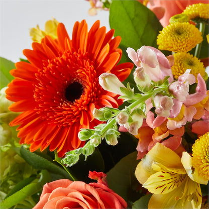 Autumn Sunshine Bouquet – FLOWERS BY BAUERS & GREENHOUSE, Jarrettsville MD