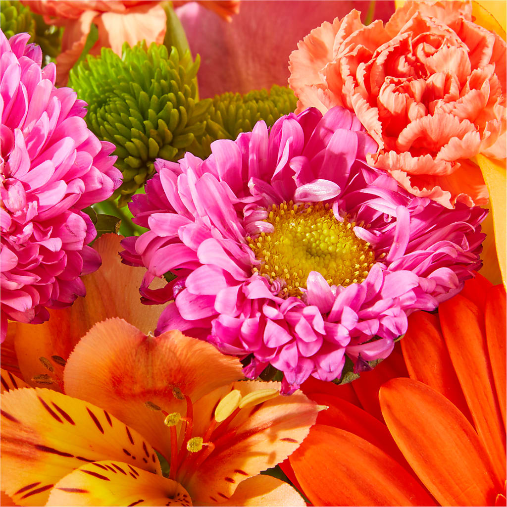 Soiree Bouquet – FLOWERS BY BAUERS & GREENHOUSE, Jarrettsville MD