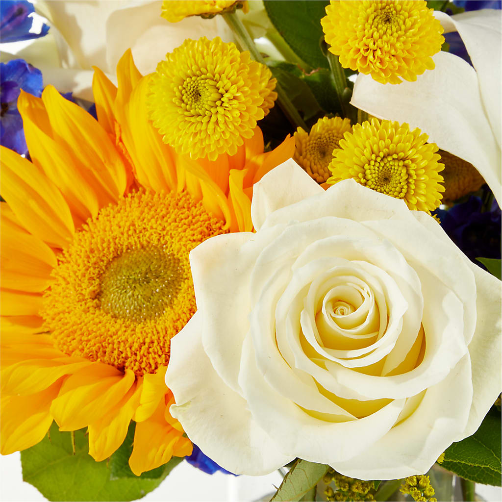Stargazing Bouquet – FLOWERS BY BAUERS & GREENHOUSE, Jarrettsville MD