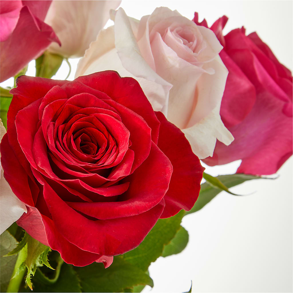 Charming Rose Bouquet – FLOWERS BY BAUERS & GREENHOUSE, Jarrettsville MD