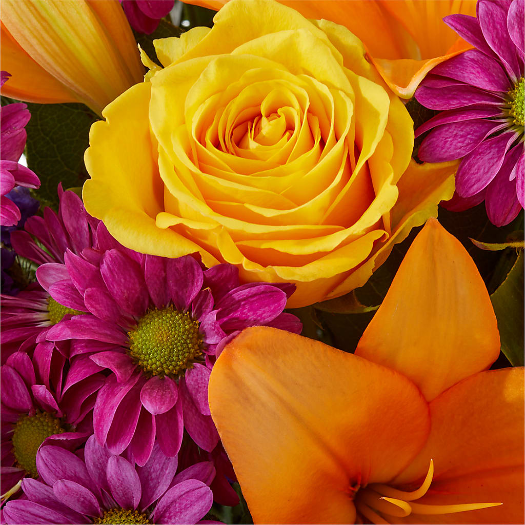 Colorful Visions Bouquet – FLOWERS BY BAUERS & GREENHOUSE, Jarrettsville MD