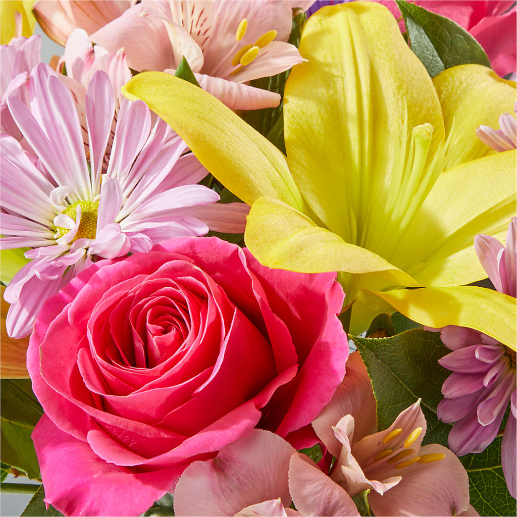 Sprinkles Bouquet – FLOWERS BY BAUERS & GREENHOUSE, Jarrettsville MD