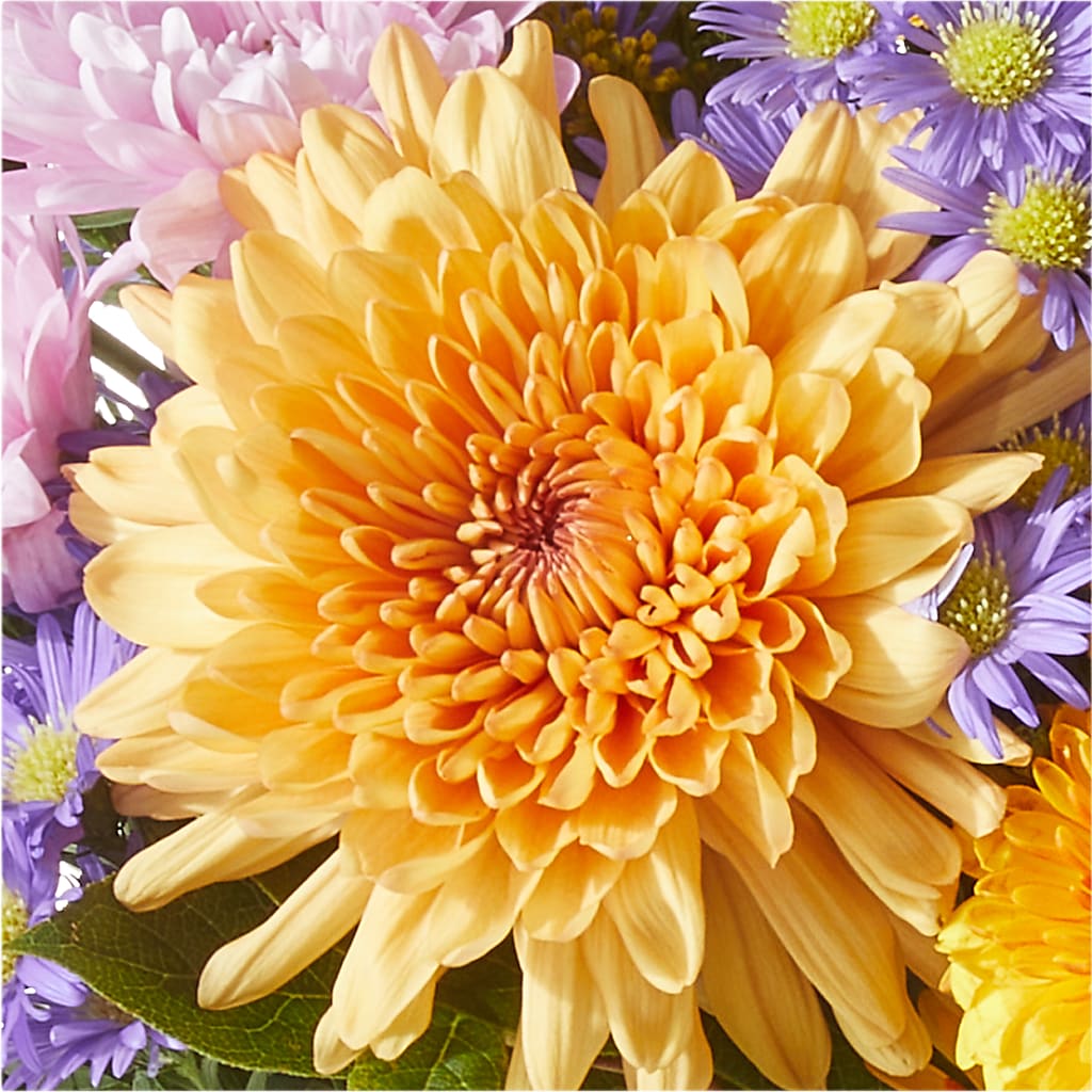 Countryside Bouquet – FLOWERS BY BAUERS & GREENHOUSE, Jarrettsville MD