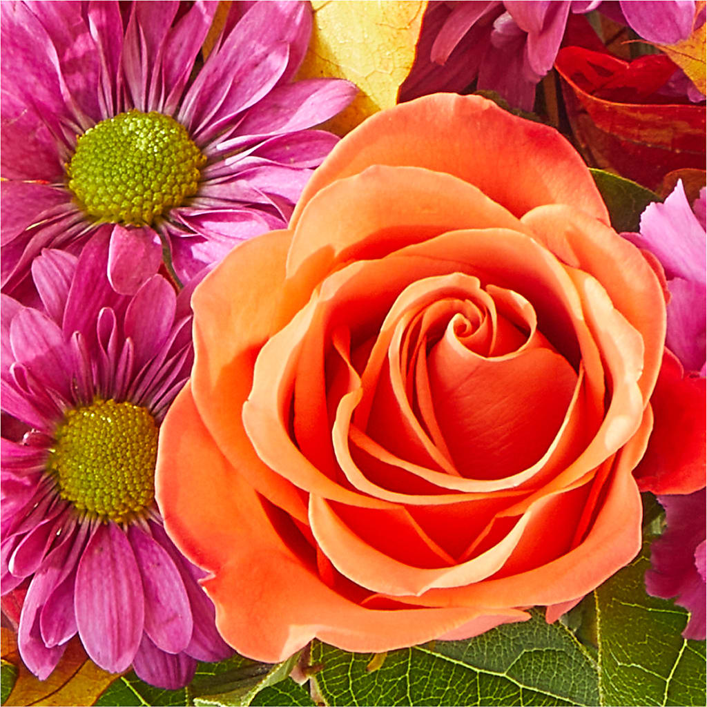 Mum's the Word Bouquet – FLOWERS BY BAUERS & GREENHOUSE, Jarrettsville MD