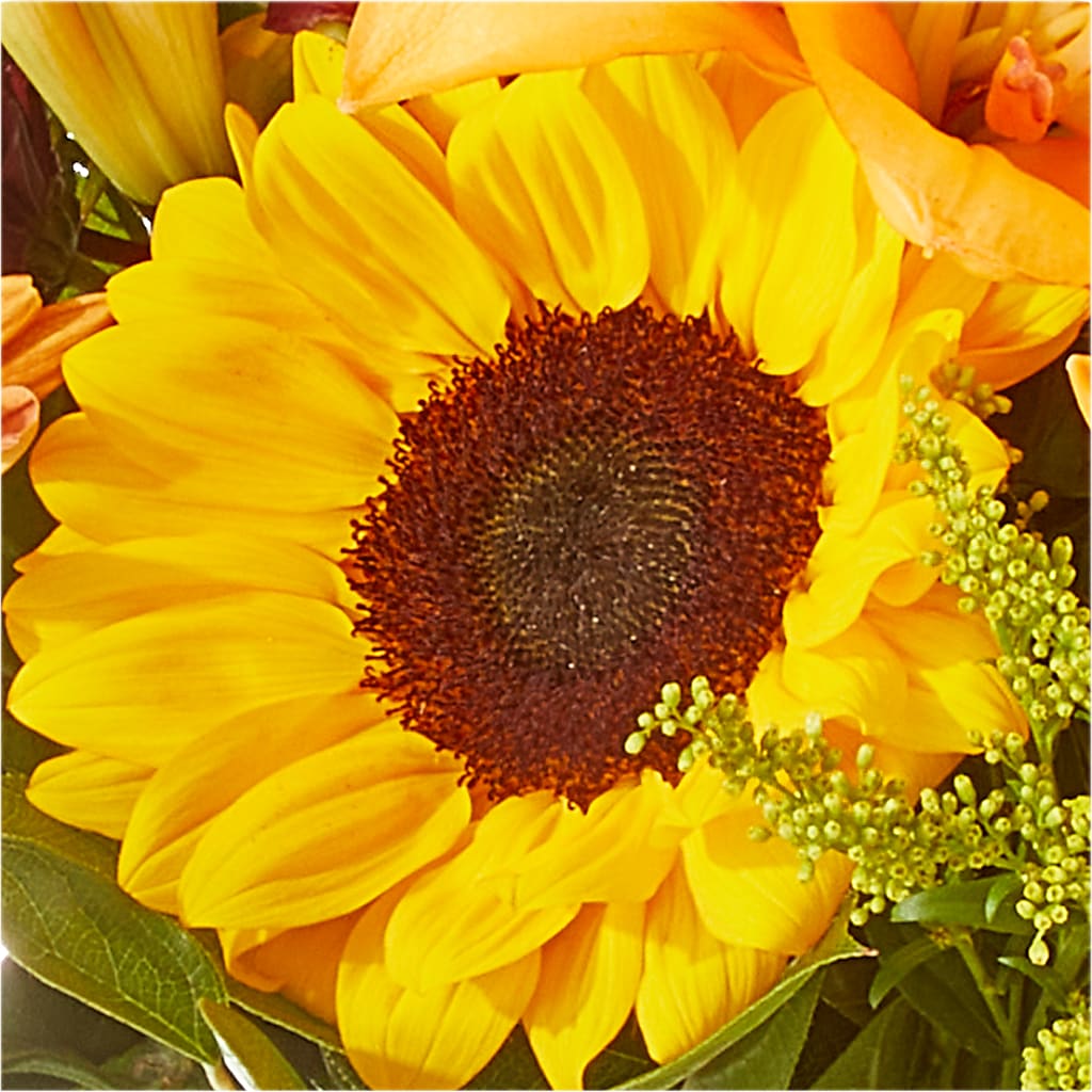 Seasons Change Bouquet – FLOWERS BY BAUERS & GREENHOUSE, Jarrettsville MD