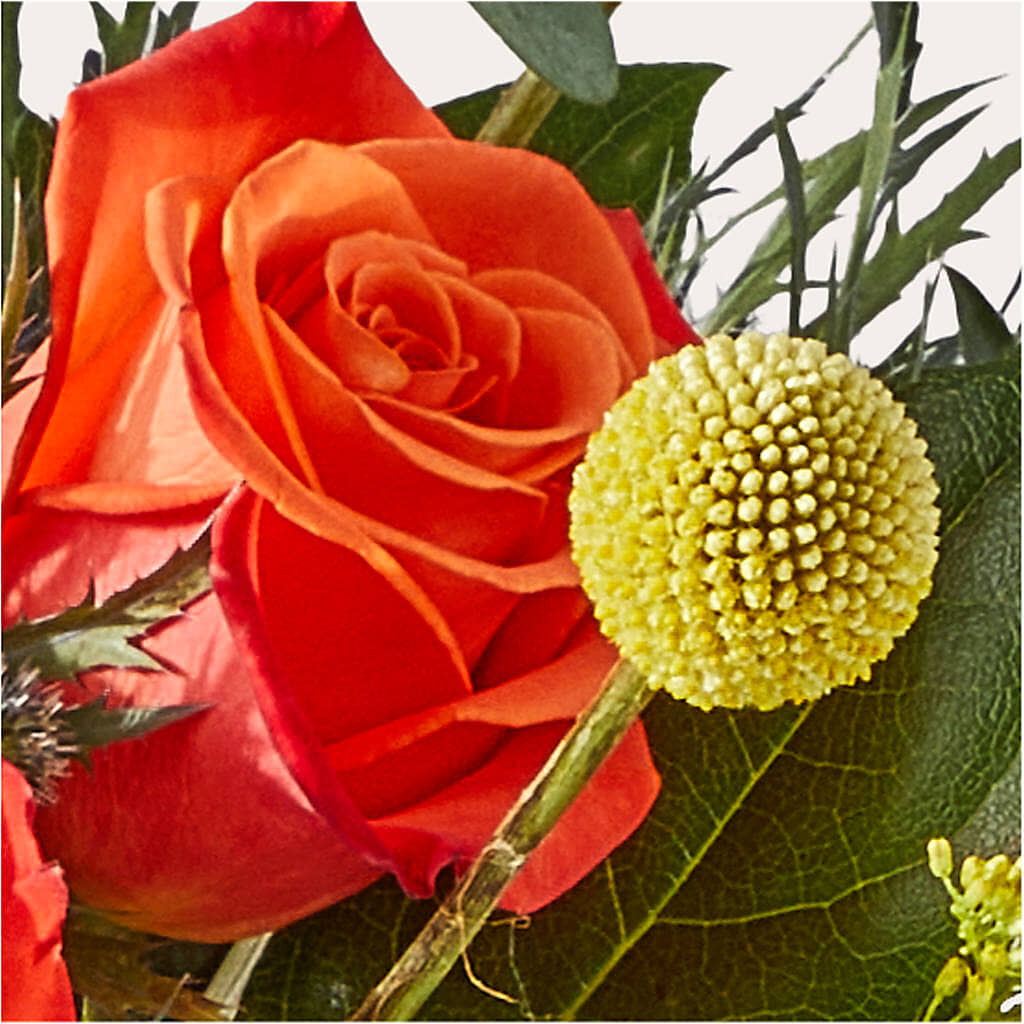 Disco Bouquet – FLOWERS BY BAUERS & GREENHOUSE, Jarrettsville MD