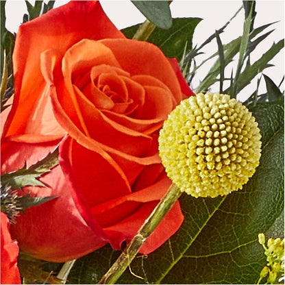 Disco Bouquet – FLOWERS BY BAUERS & GREENHOUSE, Jarrettsville MD