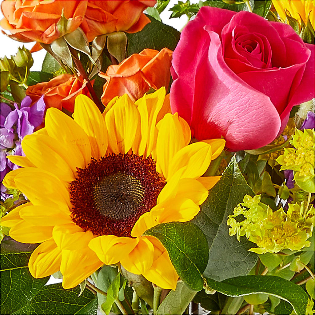 Vibrant Greetings Bouquet – FLOWERS BY BAUERS & GREENHOUSE, Jarrettsville MD