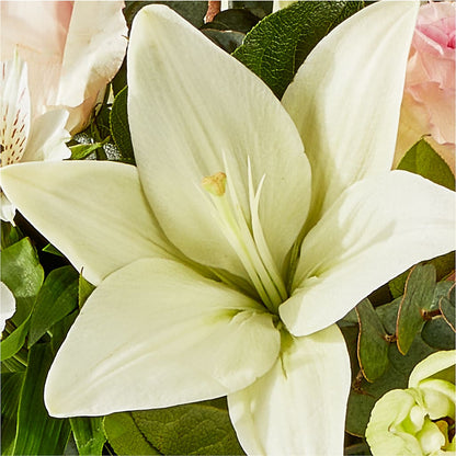 Ballet Slippers Bouquet – FLOWERS BY BAUERS & GREENHOUSE, Jarrettsville MD