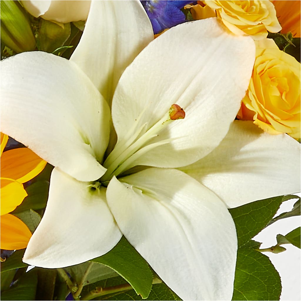 Wonderfully Sunny Bouquet – FLOWERS BY BAUERS & GREENHOUSE, Jarrettsville MD