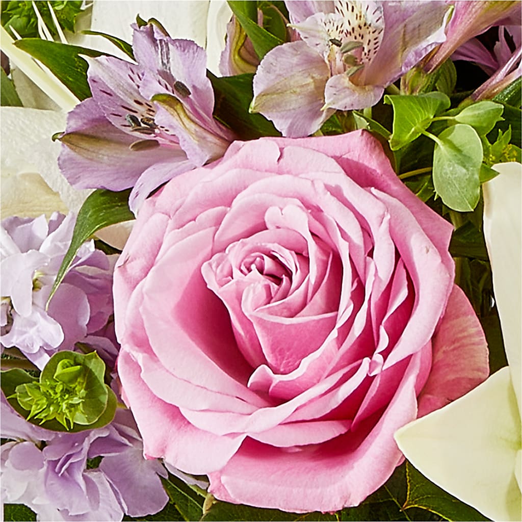 Daydreamer Bouquet – FLOWERS BY BAUERS & GREENHOUSE, Jarrettsville MD