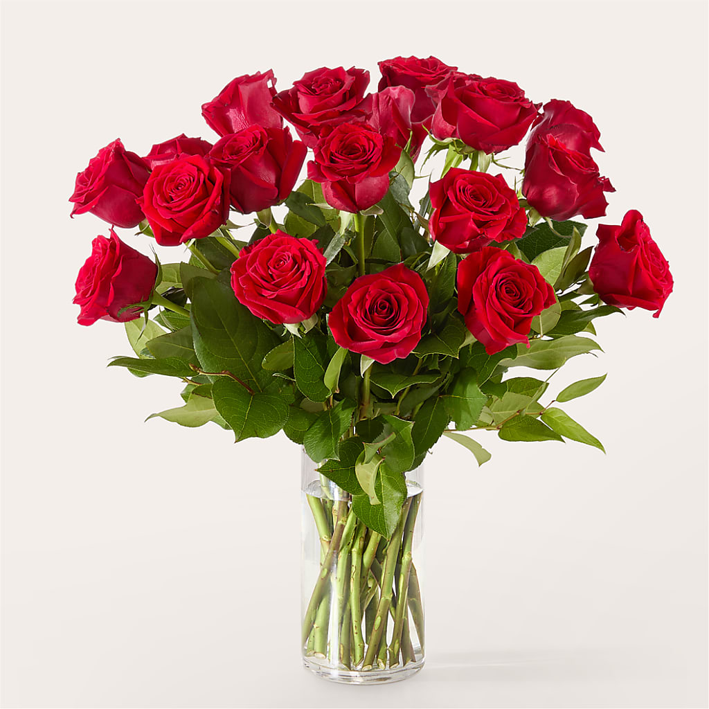 The One Red Rose Bouquet – FLOWERS BY BAUERS & GREENHOUSE, Jarrettsville MD