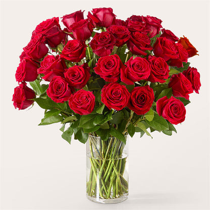 The One Red Rose Bouquet – FLOWERS BY BAUERS & GREENHOUSE, Jarrettsville MD