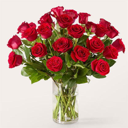 The One Red Rose Bouquet – FLOWERS BY BAUERS & GREENHOUSE, Jarrettsville MD