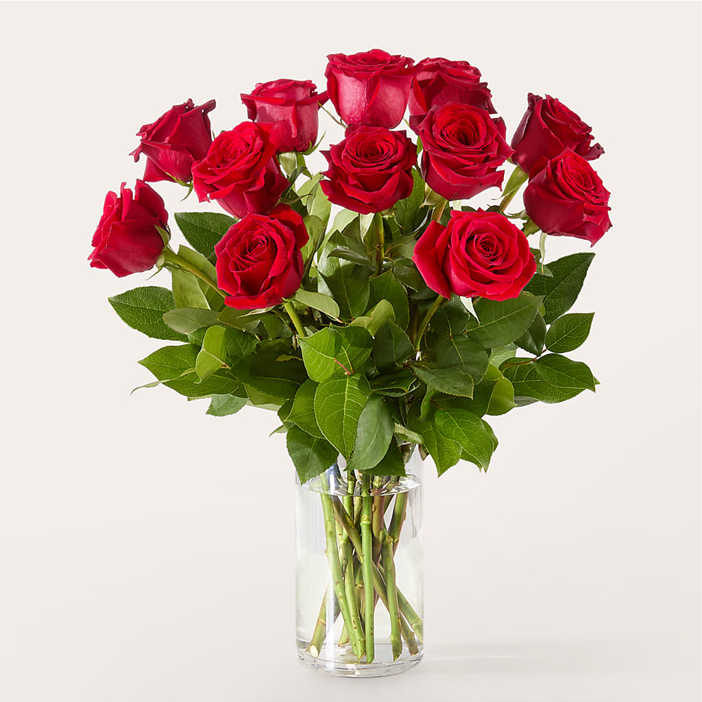 The One Red Rose Bouquet – FLOWERS BY BAUERS & GREENHOUSE, Jarrettsville MD