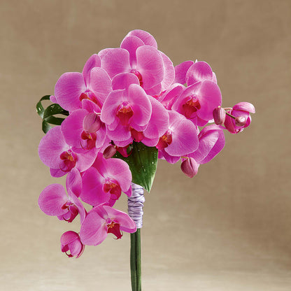 Glorious Bouquet – FLOWERS BY BAUERS & GREENHOUSE, Jarrettsville MD