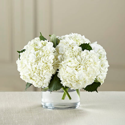 White Hydrangea Bouquet – FLOWERS BY BAUERS & GREENHOUSE, Jarrettsville MD