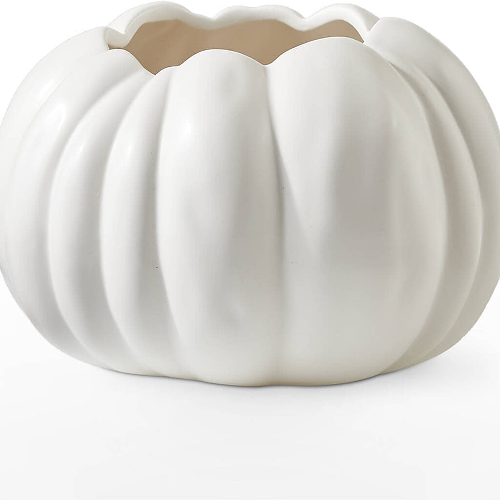 Pumpkin to Talk About Bouquet – FLOWERS BY BAUERS & GREENHOUSE, Jarrettsville MD